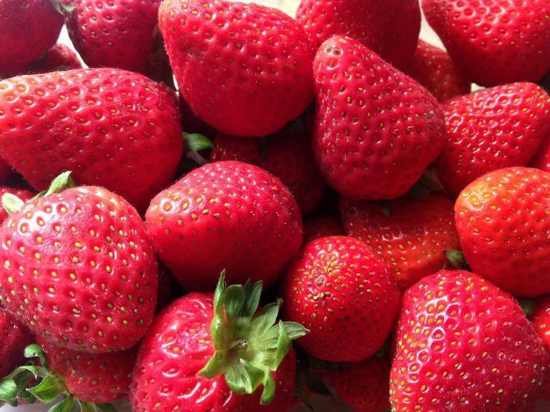 ��ݮ��ݮˮ���Ÿ����������