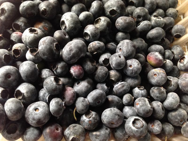 ��ݮ��ݮˮ���Ÿ����������