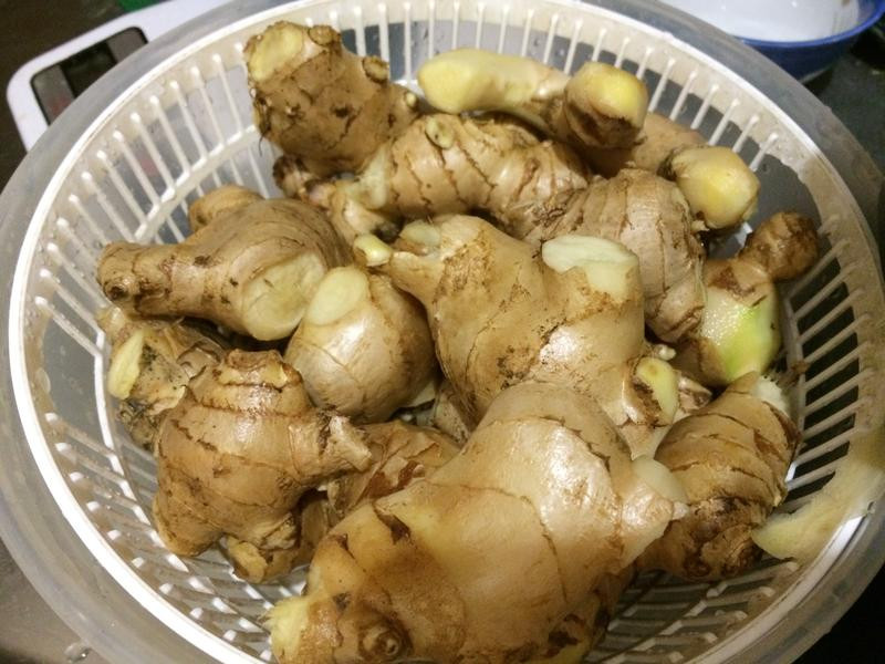 ���ǽ���������