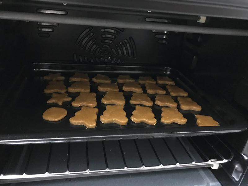 �������ǽ���������