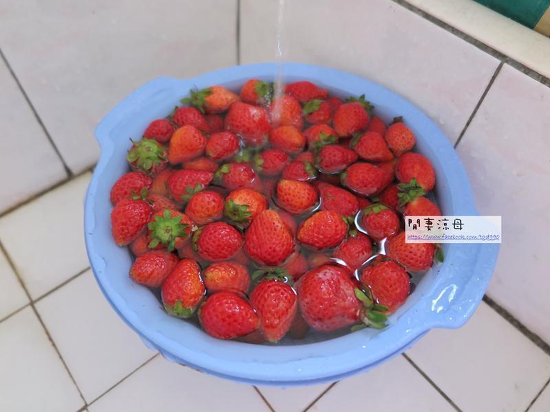 �����޶�-��ݮ����������