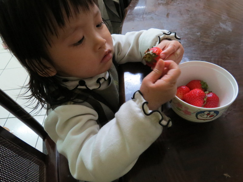 ��ݮ�Ͱ�ӥ������-��ݮ����Բ������