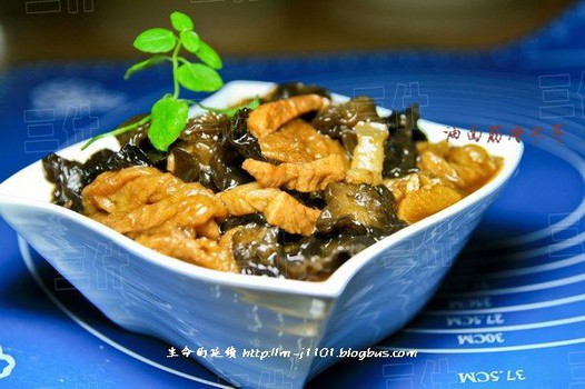 ������ľ��������