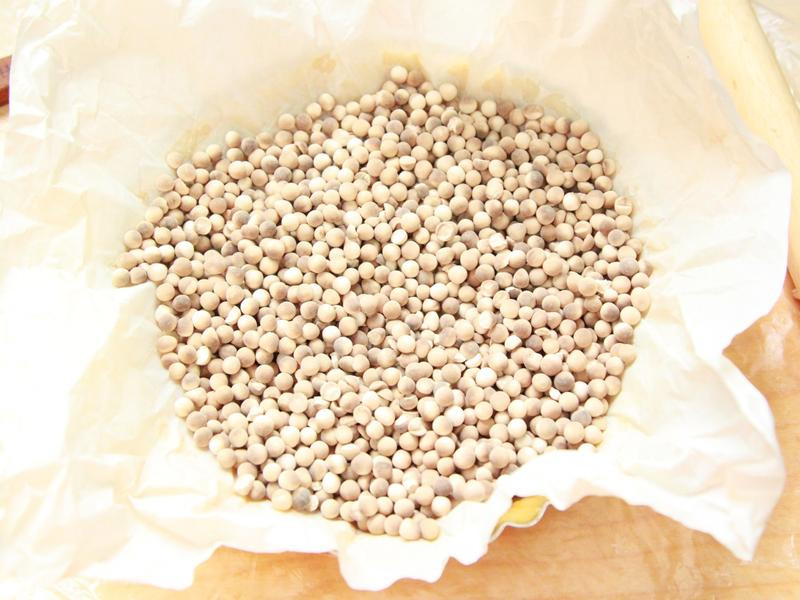 ����Ƥ������