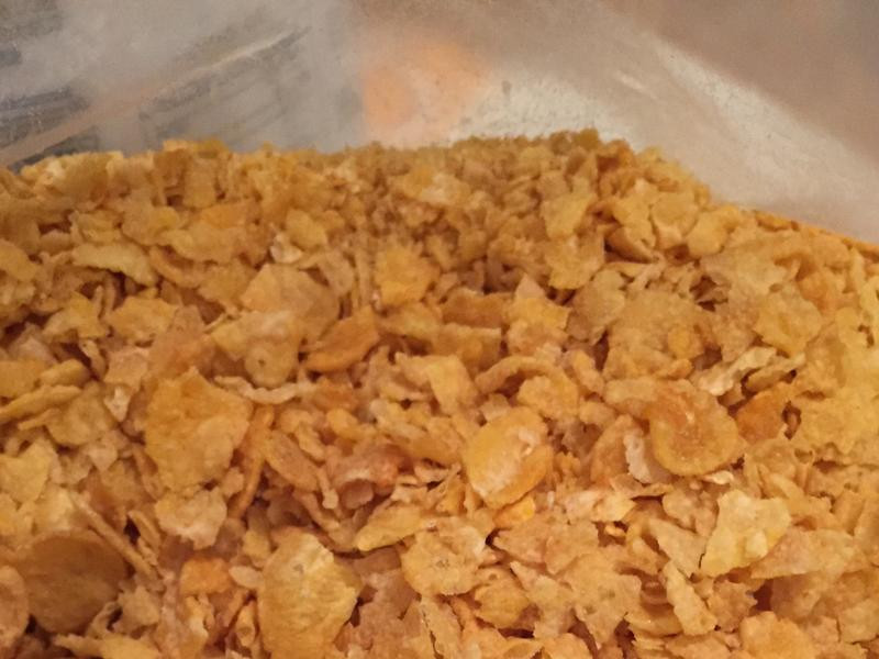 �������Ƭ���������