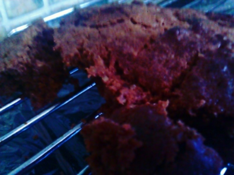 ���-�ɿ�������ɱ���¼�(Լ20��)������