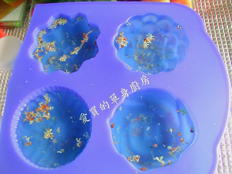 �𻨹���������