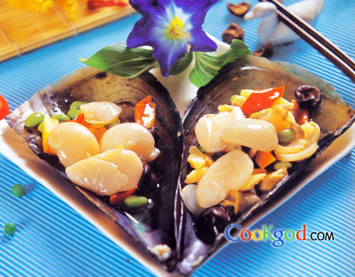 ��䳴���ӵ�����