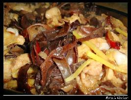 ����ľ������������