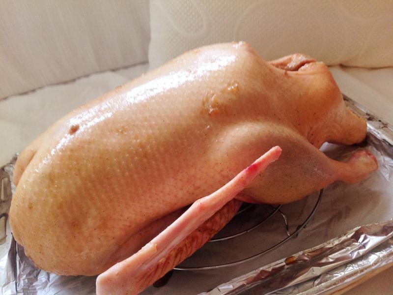 ��ʽ����֬��ѼһѼ���� һ�俾��Զ�����̵�����