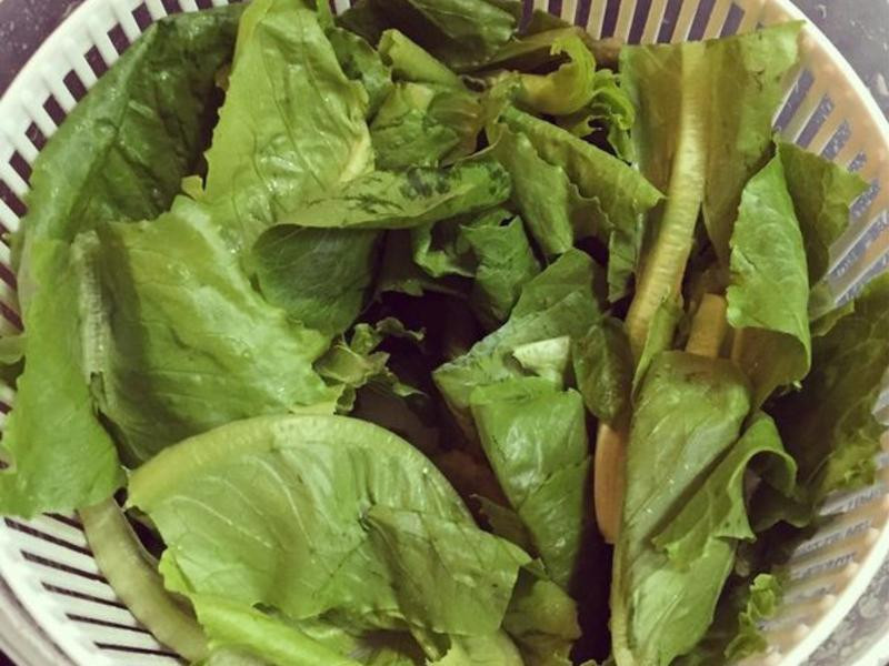 ����Ұ��С������ɳ��������