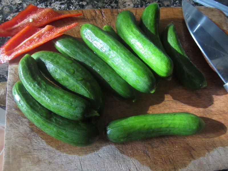 ��θС��1---��������С�ƹϵ�����