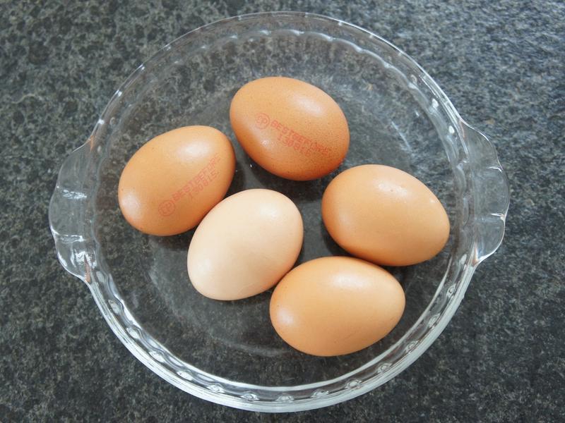 �����İ��󵰵�����