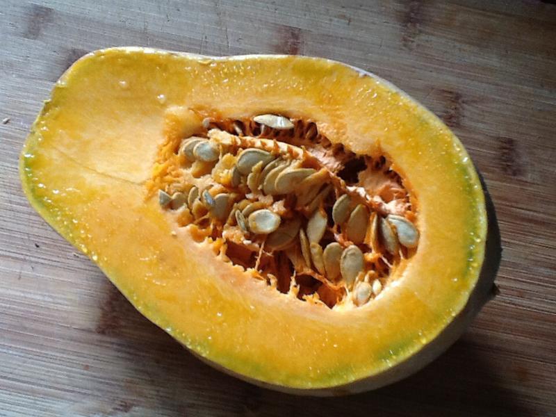 �Ϲ��Ѹ���Ũ��������