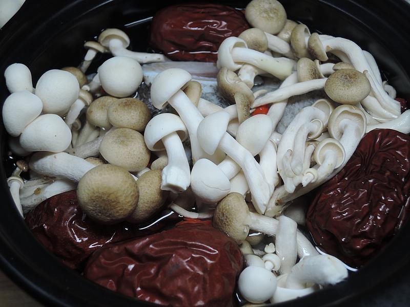 ���������°���������