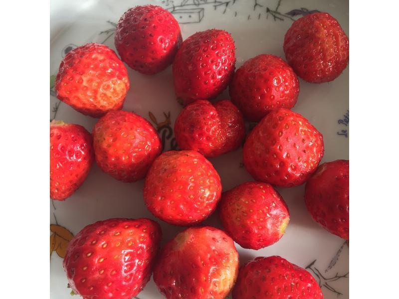 �춹��ݮ��??���˽�??�決չʳ��ļ��������