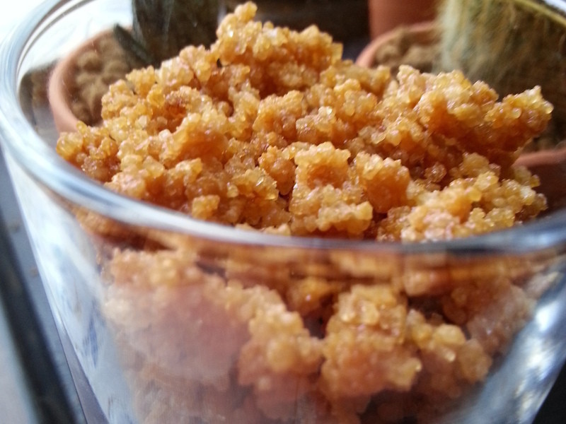 ����ɺ���ݶ�������