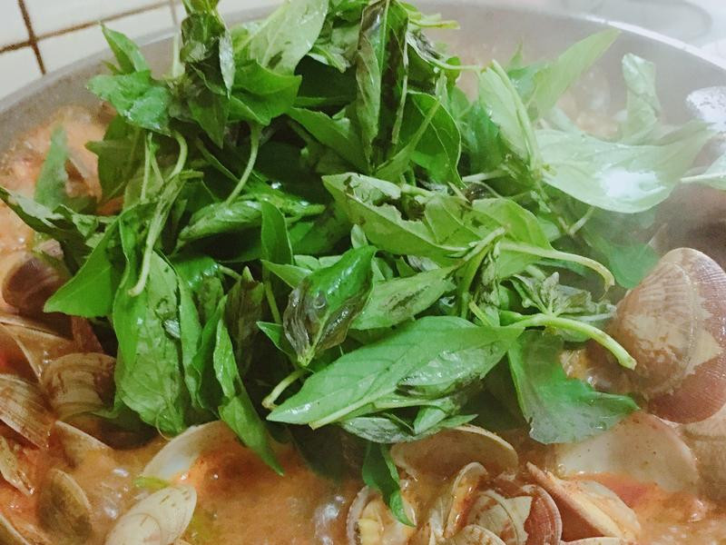 �������������ӵ�����