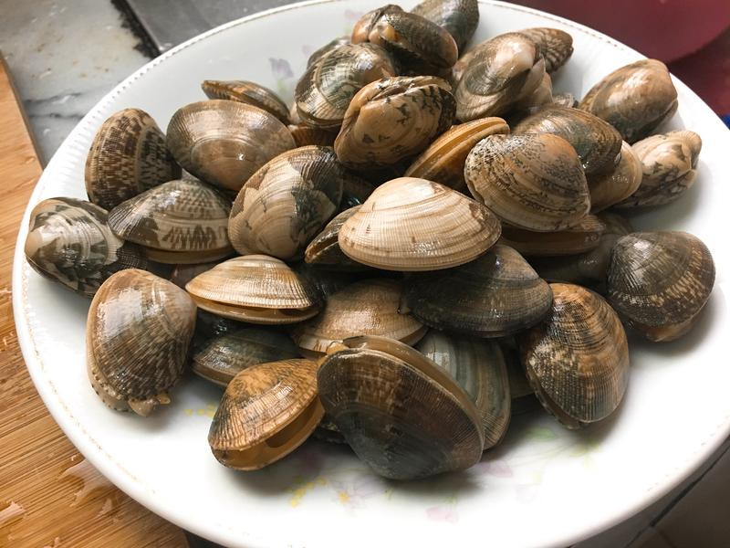 �������������ӵ�����