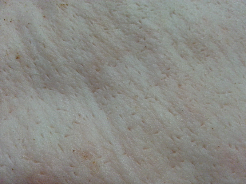 ����Ƥ���������