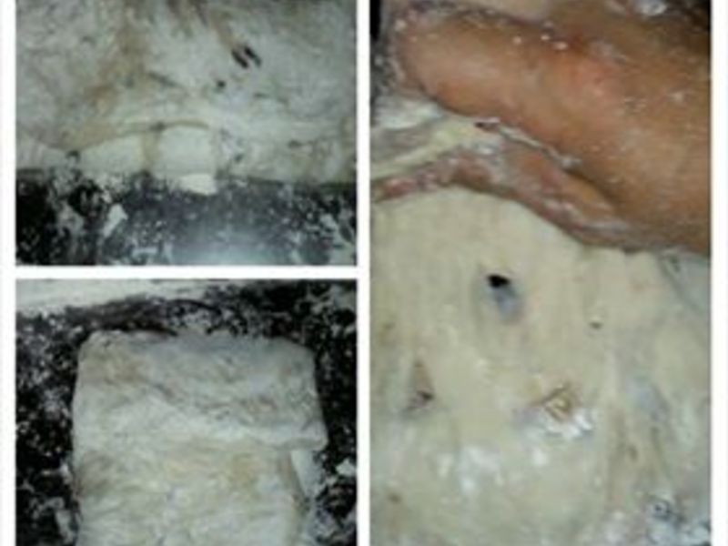 ������Ȼ��ĸ��Խݮ�������������