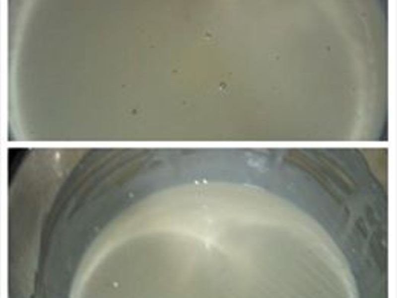 ������Ȼ��ĸ��Խݮ�������������