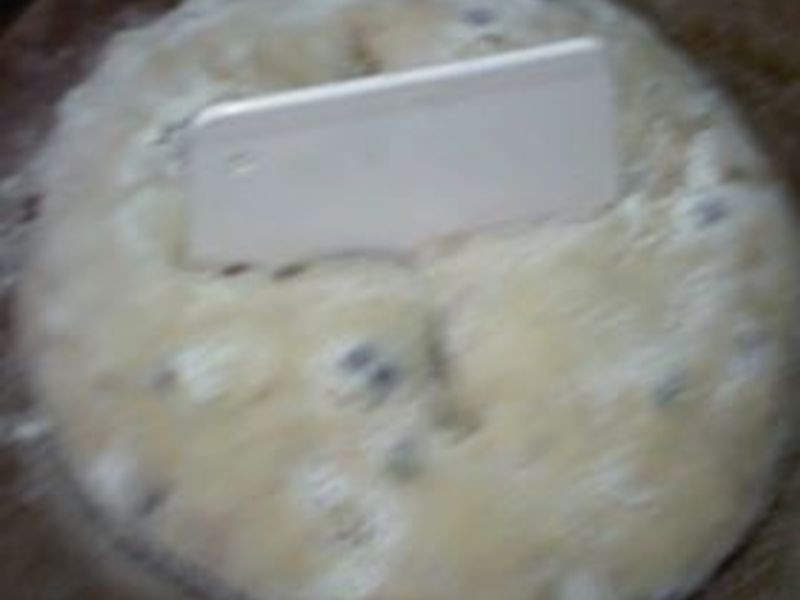 ������Ȼ��ĸ��Խݮ�������������