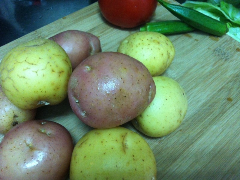 ��ʽ���Ͽ���ʳ������