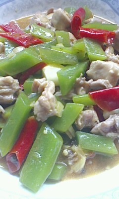 ݫ�������������