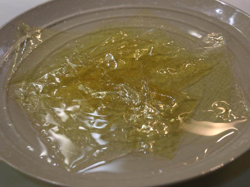 «����֦��¶���������