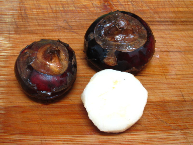 ��������-Ѽ���ɡ�������ʽ�����㡿������