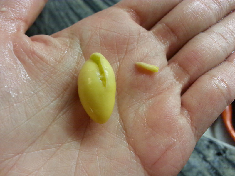 �׹����񼦵���ˮ������