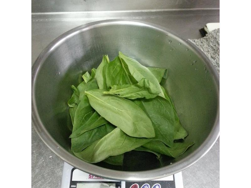 ���Ʋ�������������