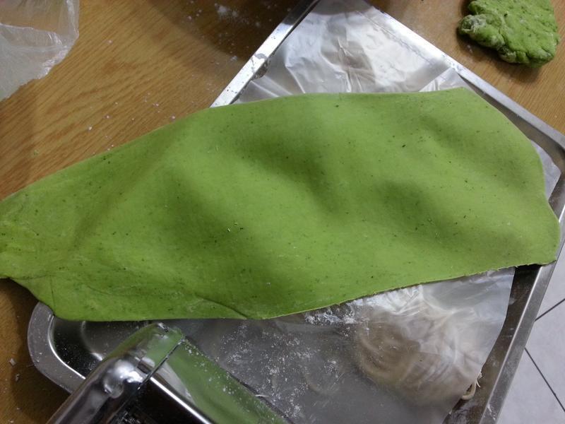 ���Ʋ�������������