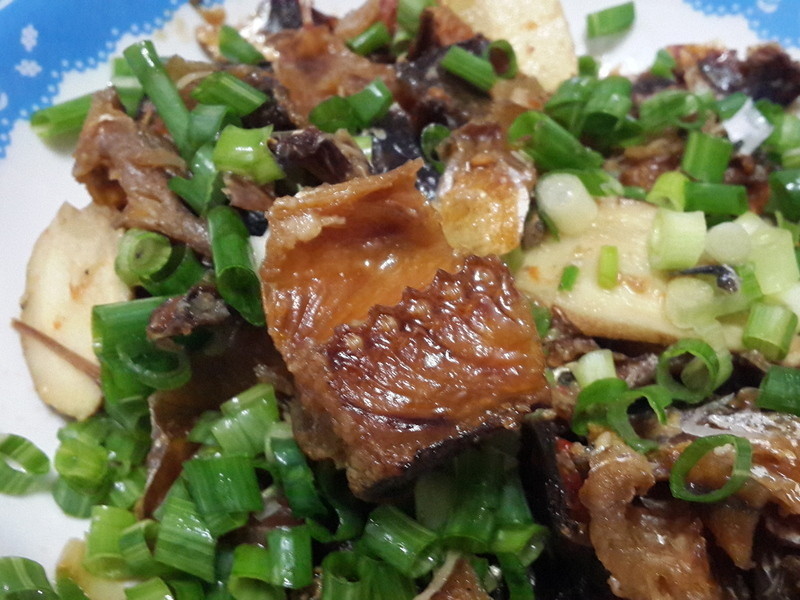 ����XO�����������