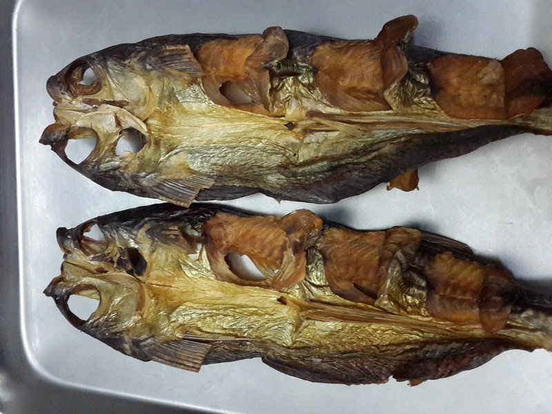 ����XO�����������