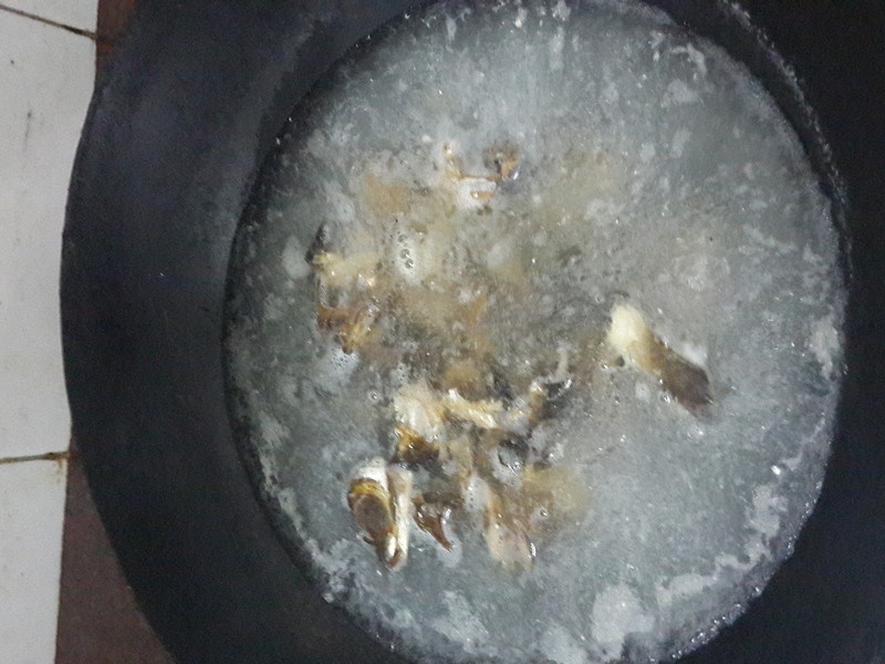 ����XO�����������