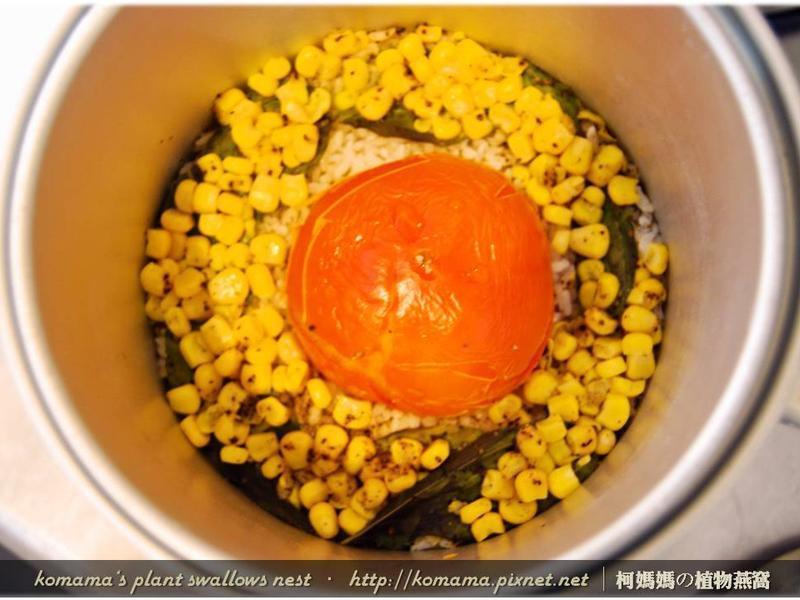 ��ľ���������׷�������