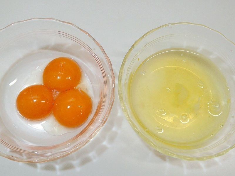 ���������-�ɿ�����Ƭ������