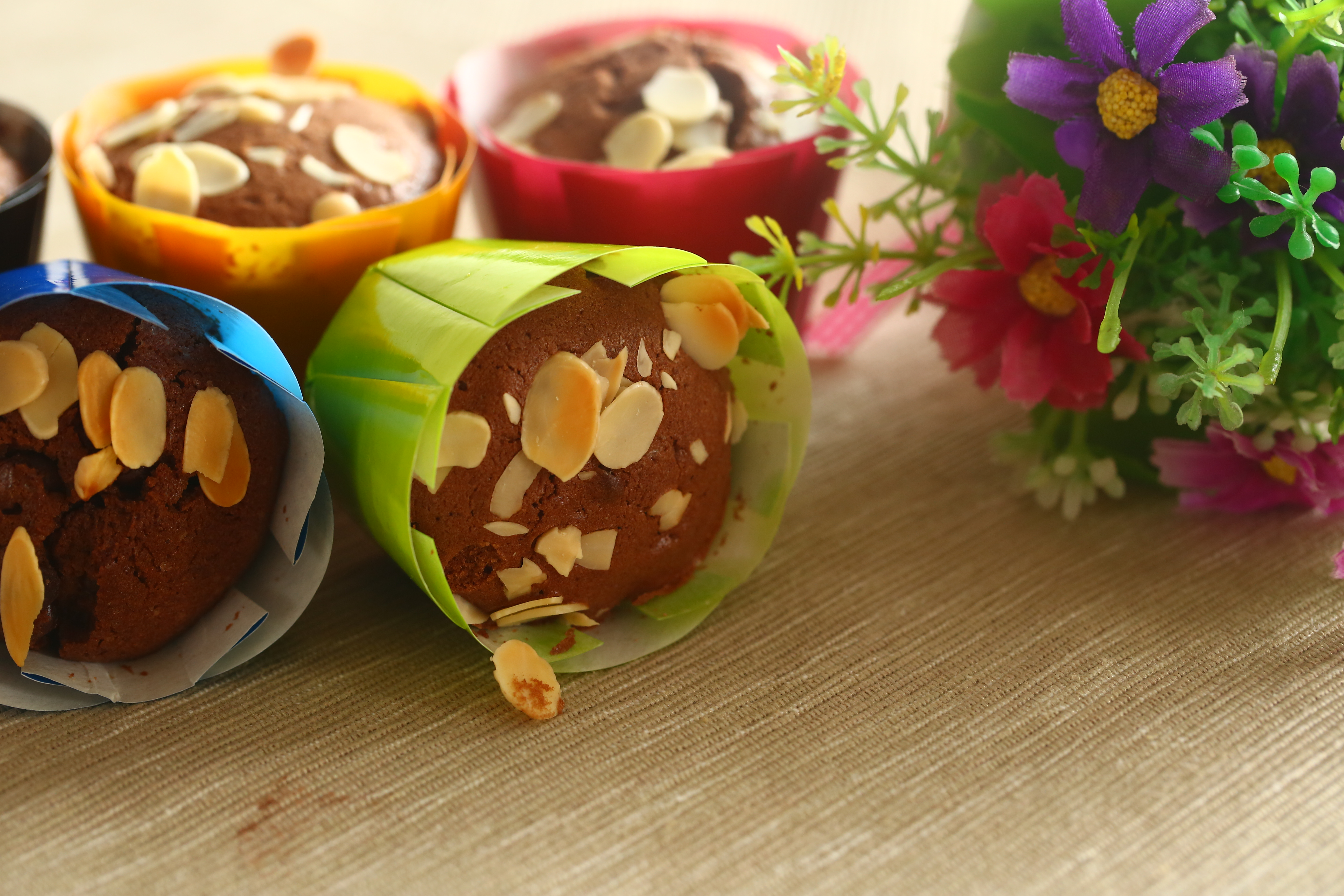 �����ɿ������������