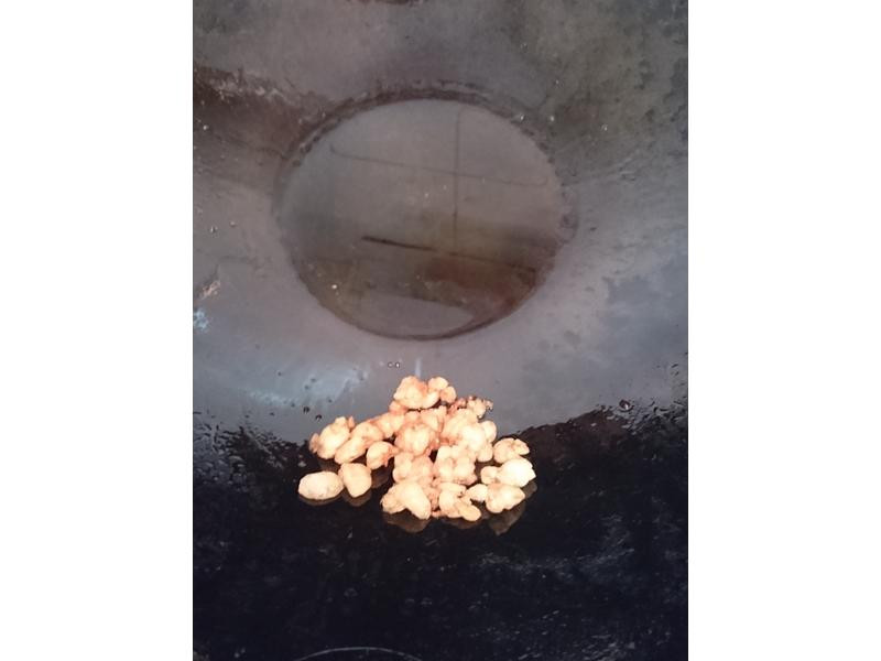 ����ţ�����������