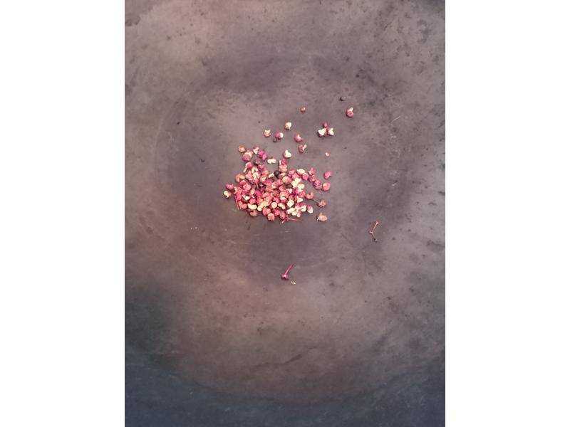 ����ţ�����������