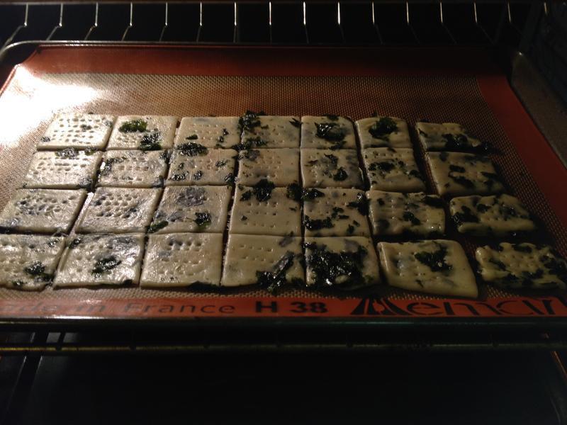 ��̦�������̿�ζ����?!!!������