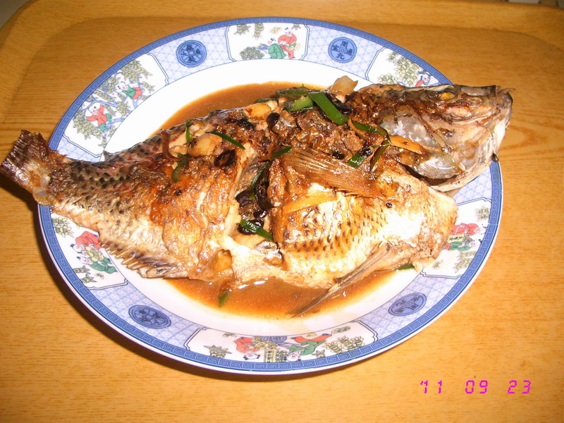 �����ļ����޷��������