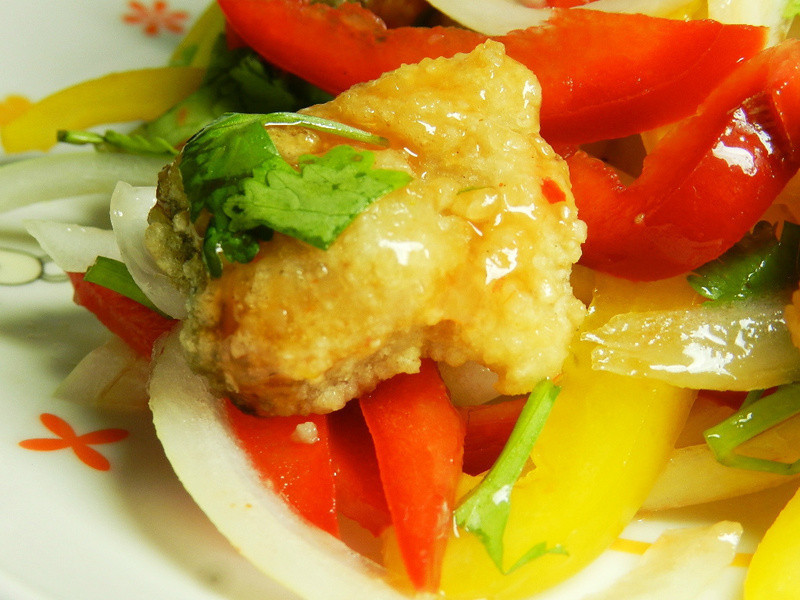 ̩ʽ�����ɳ��������