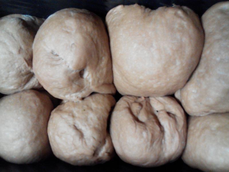 �ɿ����Ͱ�����ƪ-�ѥ�ι�(�ֹ�)�����������