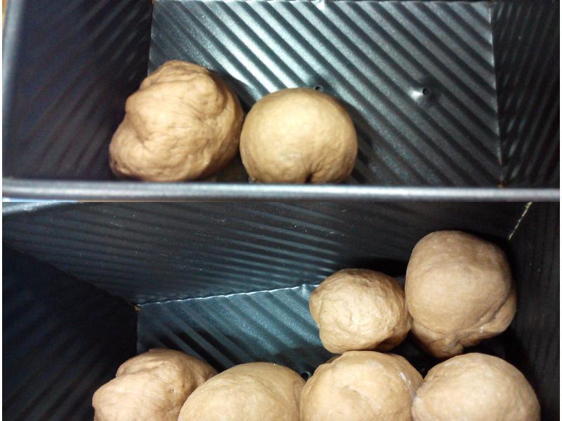 �ɿ����Ͱ�����ƪ-�ѥ�ι�(�ֹ�)�����������