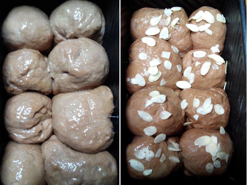 �ɿ����Ͱ�����ƪ-�ѥ�ι�(�ֹ�)�����������