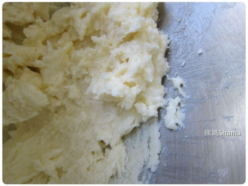 ������ʥ�������ɵ�����