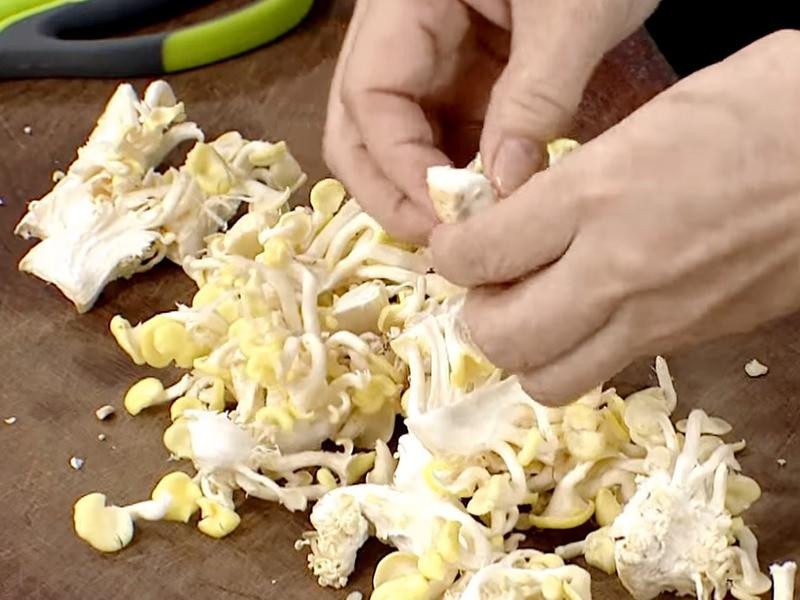 ����ަ���������˵�����